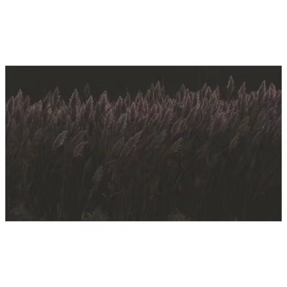 CompletableFuture异步处理与消息队列异步处理对比