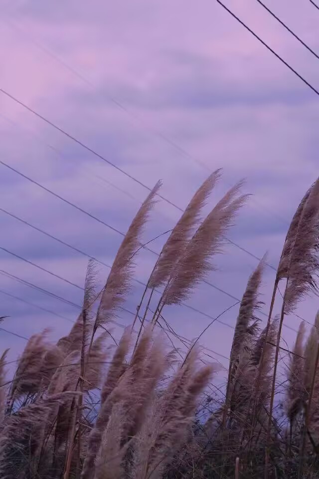 ConcurrentHashMap解析