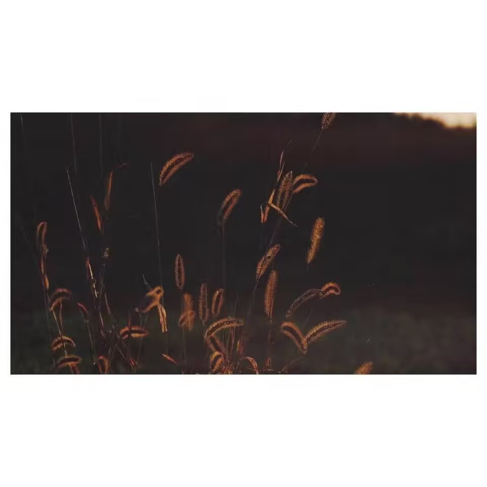 java中ArrayList扩容机制的解析.md