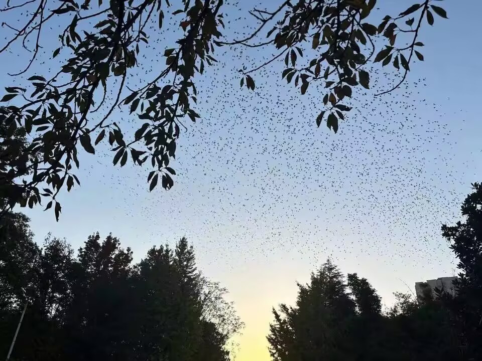 在mysql中建立索引时需要注意哪些事项?