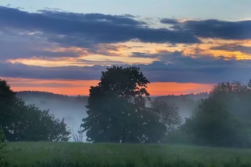 MySQL B+树索引查询全过程详解